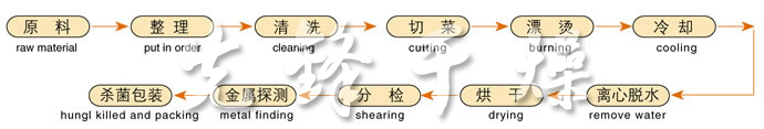 DWC系列脱水蔬菜带式干燥机工艺流程图